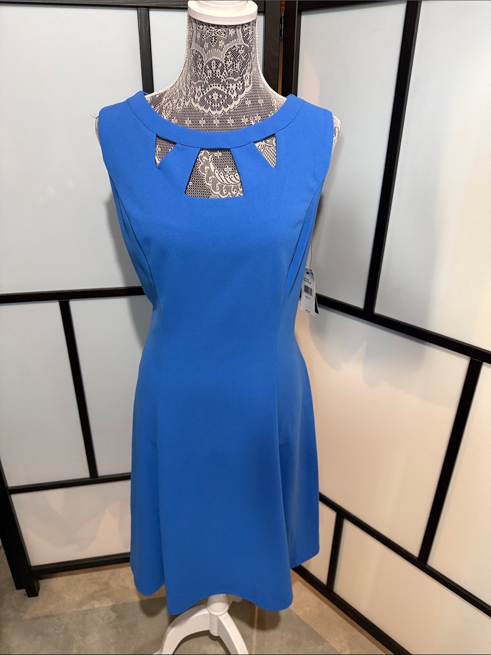 Alyx Bright Cobalt Sleeveless Mini Dress with Decorative Neck Cutouts